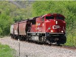 CP 7029